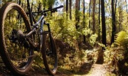 IMBA: Qué saber sobre la Asociación Mundial de Ciclistas de Montaña