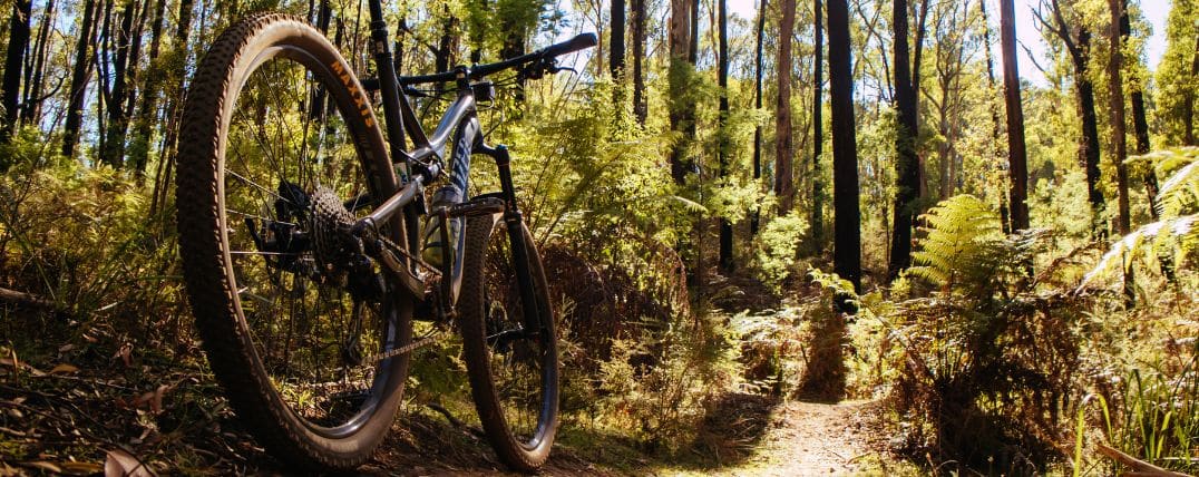 IMBA: Qué saber sobre la Asociación Mundial de Ciclistas de Montaña