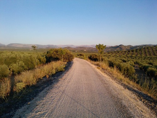 La Ruta del Aceite - Vía Verde en España