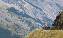 Col du Galibier